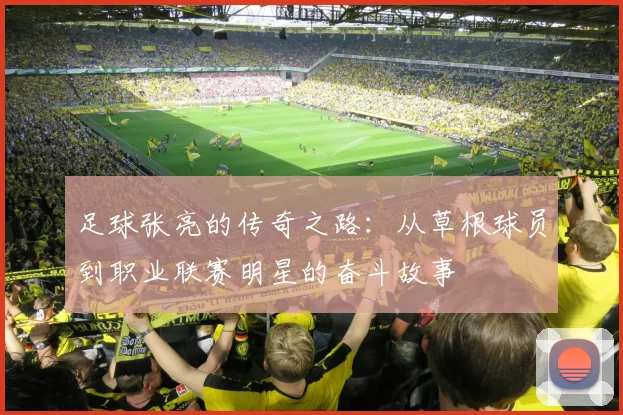 足球张亮的传奇之路：从草根球员到职业联赛明星的奋斗故事