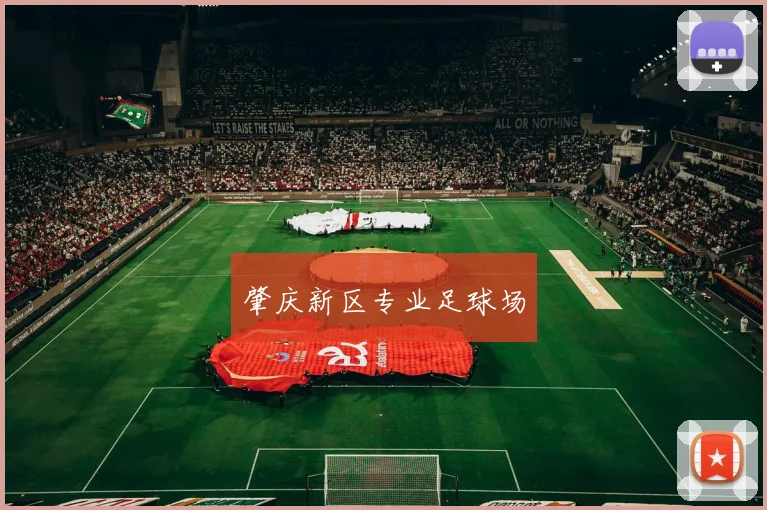 肇庆新区专业足球场